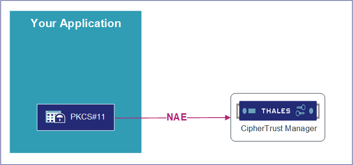 NGINX