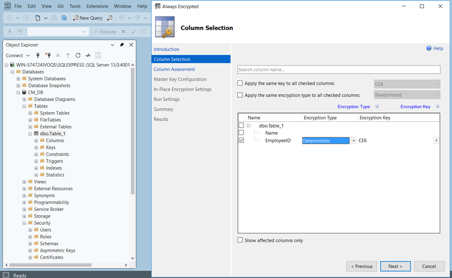 Column Selection