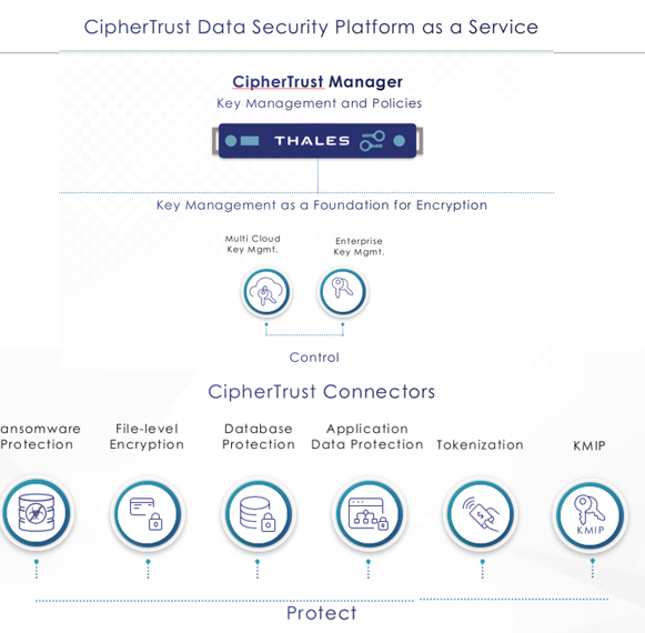 CDSPaaS available features