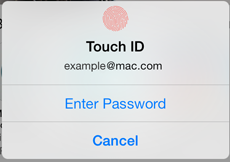 Cancel biometric authentication