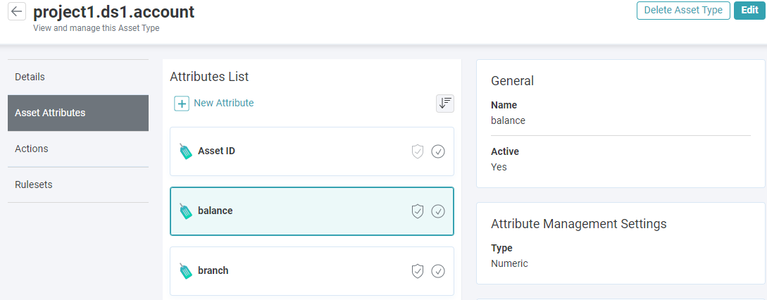 Asset Type