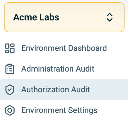 Authorization audit