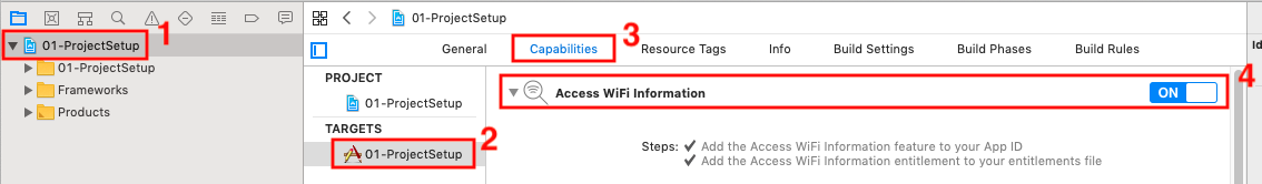 Capabilities > Access WiFi Information