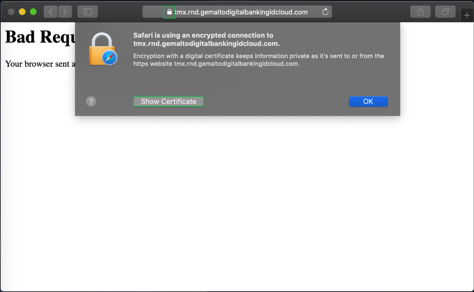View the certificate in Safari